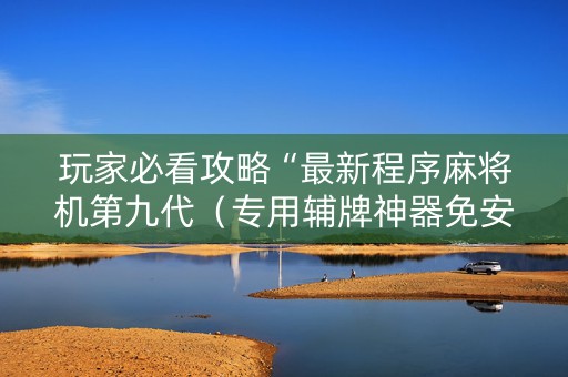 玩家必看攻略“最新程序麻将机第九代（专用辅牌神器免安装）