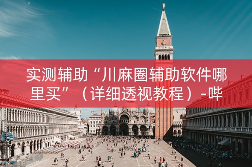 实测辅助“川麻圈辅助软件哪里买”（详细透视教程）-哔哩哔哩