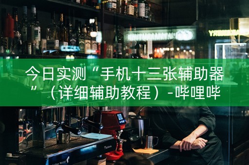 今日实测“手机十三张辅助器”（详细辅助教程）-哔哩哔哩