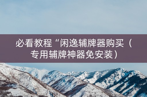 必看教程“闲逸辅牌器购买（专用辅牌神器免安装）