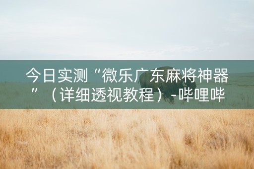 今日实测“微乐广东麻将神器”（详细透视教程）-哔哩哔哩