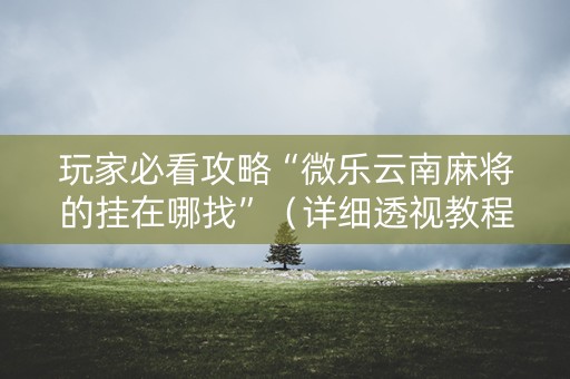 玩家必看攻略“微乐云南麻将的挂在哪找”（详细透视教程）-哔哩哔哩