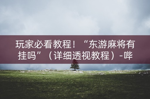 玩家必看教程！“东游麻将有挂吗”（详细透视教程）-哔哩哔哩