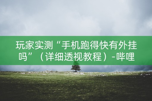玩家实测“手机跑得快有外挂吗”（详细透视教程）-哔哩哔哩