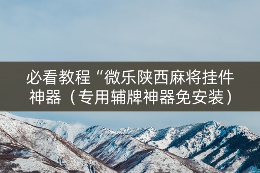 必看教程“微乐陕西麻将挂件神器（专用辅牌神器免安装）
