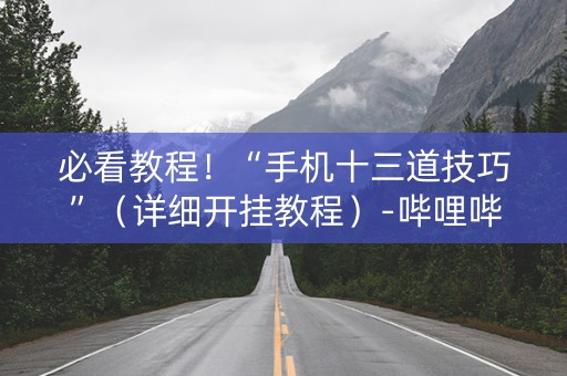 必看教程！“手机十三道技巧”（详细开挂教程）-哔哩哔哩