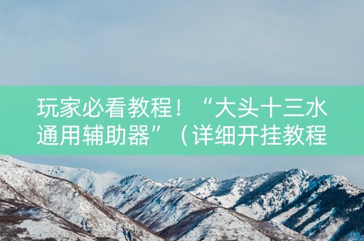 玩家必看教程！“大头十三水通用辅助器”（详细开挂教程）-哔哩哔哩