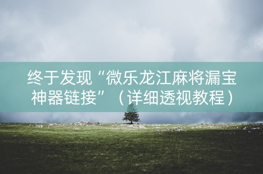 终于发现“微乐龙江麻将漏宝神器链接”（详细透视教程）-哔哩哔哩