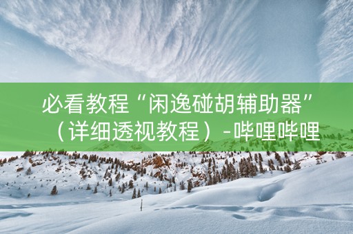 必看教程“闲逸碰胡辅助器”（详细透视教程）-哔哩哔哩