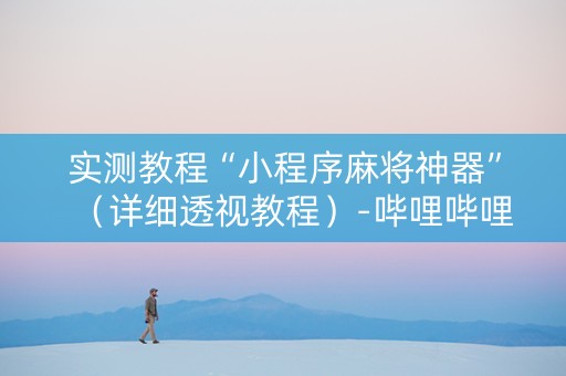 实测教程“小程序麻将神器”（详细透视教程）-哔哩哔哩