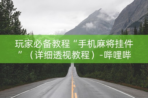玩家必备教程“手机麻将挂件”（详细透视教程）-哔哩哔哩