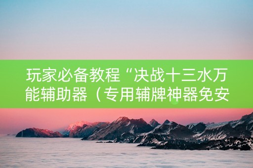 玩家必备教程“决战十三水万能辅助器（专用辅牌神器免安装）
