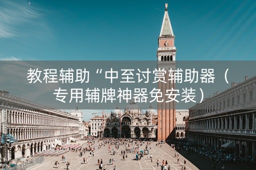 教程辅助“中至讨赏辅助器（专用辅牌神器免安装）