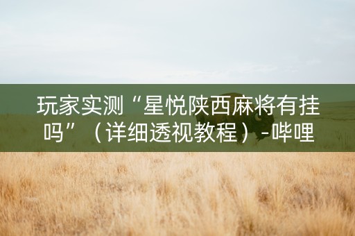 玩家实测“星悦陕西麻将有挂吗”（详细透视教程）-哔哩哔哩