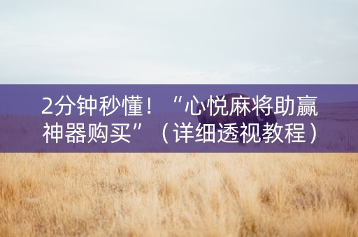 2分钟秒懂！“心悦麻将助赢神器购买”（详细透视教程）-哔哩哔哩