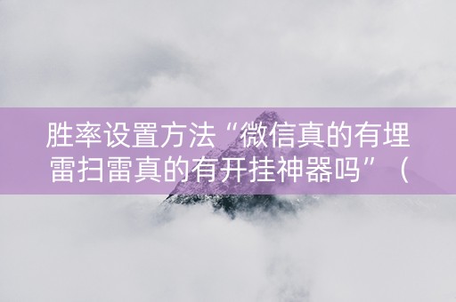 胜率设置方法“微信真的有埋雷扫雷真的有开挂神器吗”（详细透视教程）-哔哩哔哩
