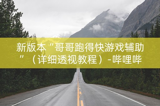 新版本“哥哥跑得快游戏辅助”（详细透视教程）-哔哩哔哩