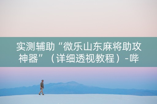 实测辅助“微乐山东麻将助攻神器”（详细透视教程）-哔哩哔哩