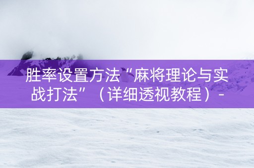 胜率设置方法“麻将理论与实战打法”（详细透视教程）-哔哩哔哩