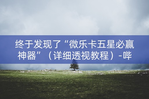 终于发现了“微乐卡五星必赢神器”（详细透视教程）-哔哩哔哩