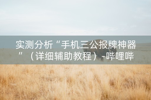 详细阅读:实测分析“手机三公报牌神器”(详细辅助教程)-哔哩哔哩 实测分析“手机三公报牌神器”(详细辅助教程)-哔哩哔哩