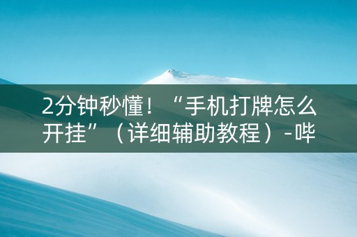 2分钟秒懂！“手机打牌怎么开挂”（详细辅助教程）-哔哩哔哩