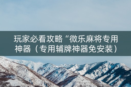 玩家必看攻略“微乐麻将专用神器（专用辅牌神器免安装）