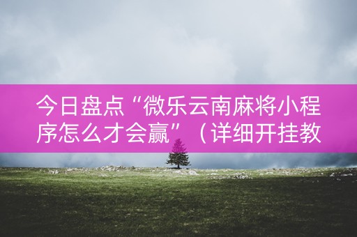 今日盘点“微乐云南麻将小程序怎么才会赢”（详细开挂教程）-哔哩哔哩