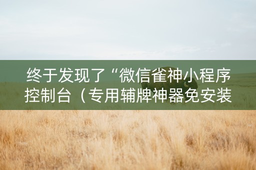 终于发现了“微信雀神小程序控制台（专用辅牌神器免安装）