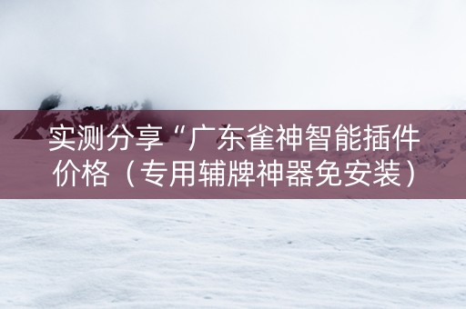 实测分享“广东雀神智能插件价格（专用辅牌神器免安装）