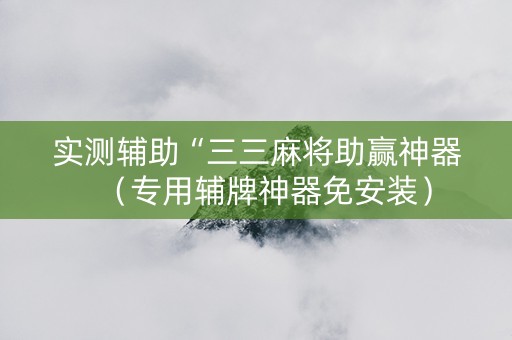 实测辅助“三三麻将助赢神器（专用辅牌神器免安装）