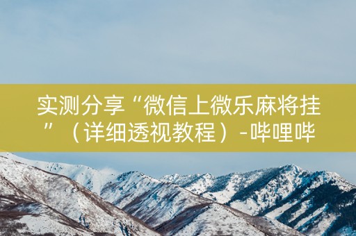 实测分享“微信上微乐麻将挂”（详细透视教程）-哔哩哔哩