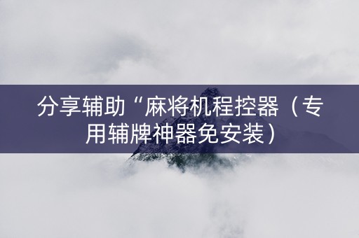 分享辅助“麻将机程控器（专用辅牌神器免安装）