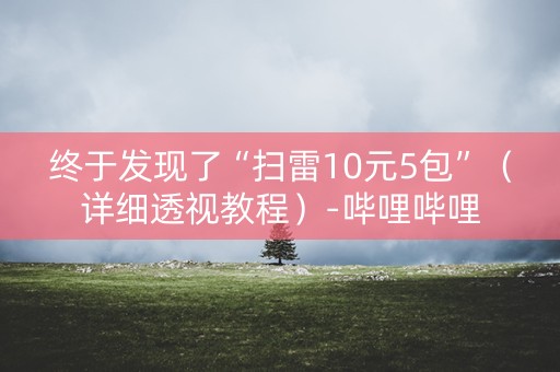 终于发现了“扫雷10元5包”（详细透视教程）-哔哩哔哩