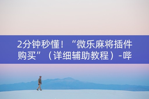 2分钟秒懂！“微乐麻将插件购买”（详细辅助教程）-哔哩哔哩