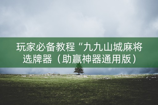 玩家必备教程“九九山城麻将选牌器（助赢神器通用版）