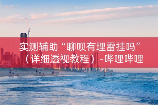 实测辅助“聊呗有埋雷挂吗”（详细透视教程）-哔哩哔哩