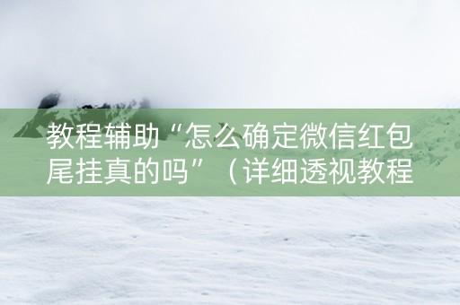 教程辅助“怎么确定微信红包尾挂真的吗”（详细透视教程）-哔哩哔哩