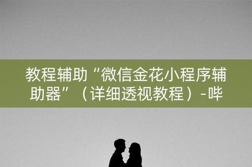 教程辅助“微信金花小程序辅助器”（详细透视教程）-哔哩哔哩