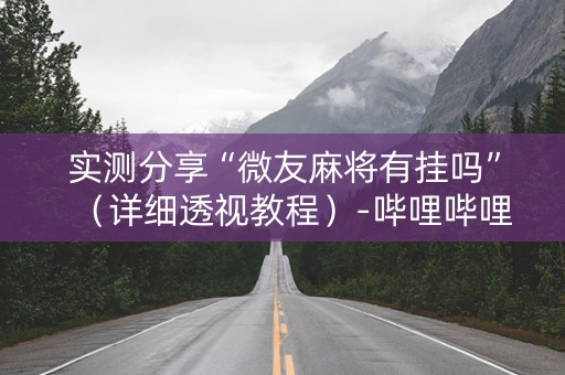 实测分享“微友麻将有挂吗”（详细透视教程）-哔哩哔哩