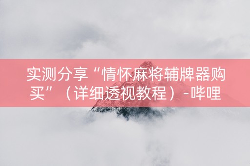实测分享“情怀麻将辅牌器购买”（详细透视教程）-哔哩哔哩