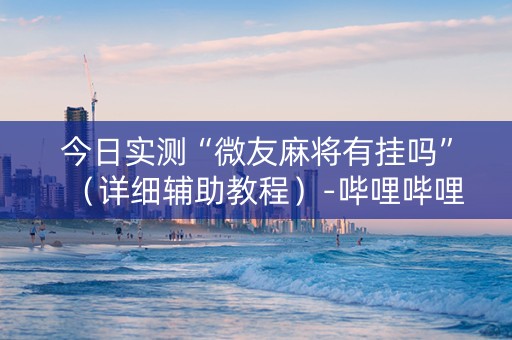 今日实测“微友麻将有挂吗”（详细辅助教程）-哔哩哔哩