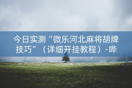 今日实测“微乐河北麻将胡牌技巧”（详细开挂教程）-哔哩哔哩