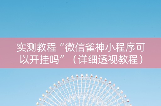 实测教程“微信雀神小程序可以开挂吗”（详细透视教程）-哔哩哔哩