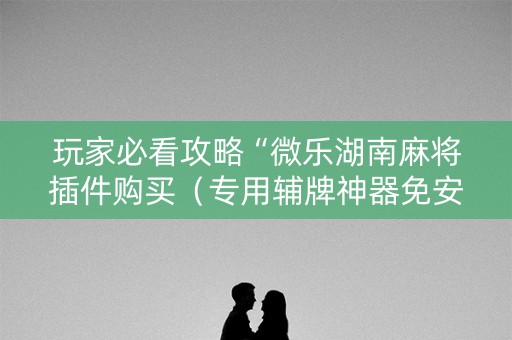 玩家必看攻略“微乐湖南麻将插件购买（专用辅牌神器免安装）