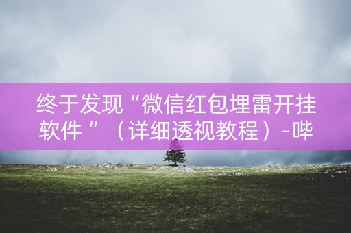 终于发现“微信红包埋雷开挂软件 ”（详细透视教程）-哔哩哔哩