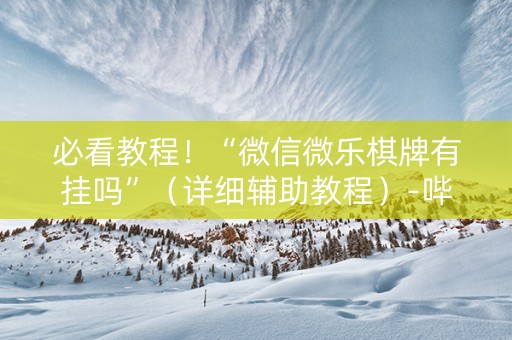 必看教程！“微信微乐棋牌有挂吗”（详细辅助教程）-哔哩哔哩