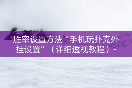 胜率设置方法“手机玩扑克外挂设置”（详细透视教程）-哔哩哔哩