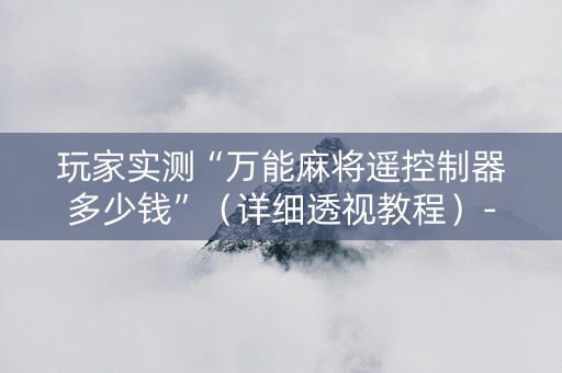 玩家实测“万能麻将遥控制器多少钱”（详细透视教程）-哔哩哔哩