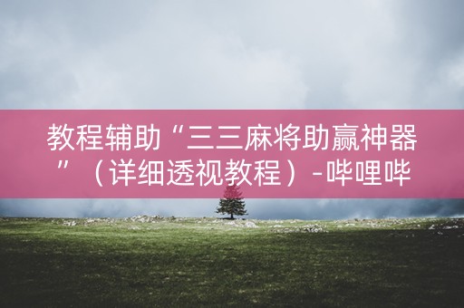 教程辅助“三三麻将助赢神器”（详细透视教程）-哔哩哔哩